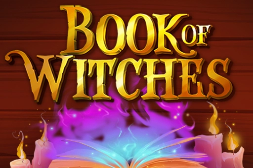 24048 book of witches
